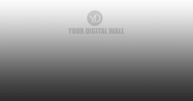 US Residents are raving about Myonlinecert.com – Offering Online CCW Training US Residents are raving about Myonlinecert.com – Offering Online CCW Training
