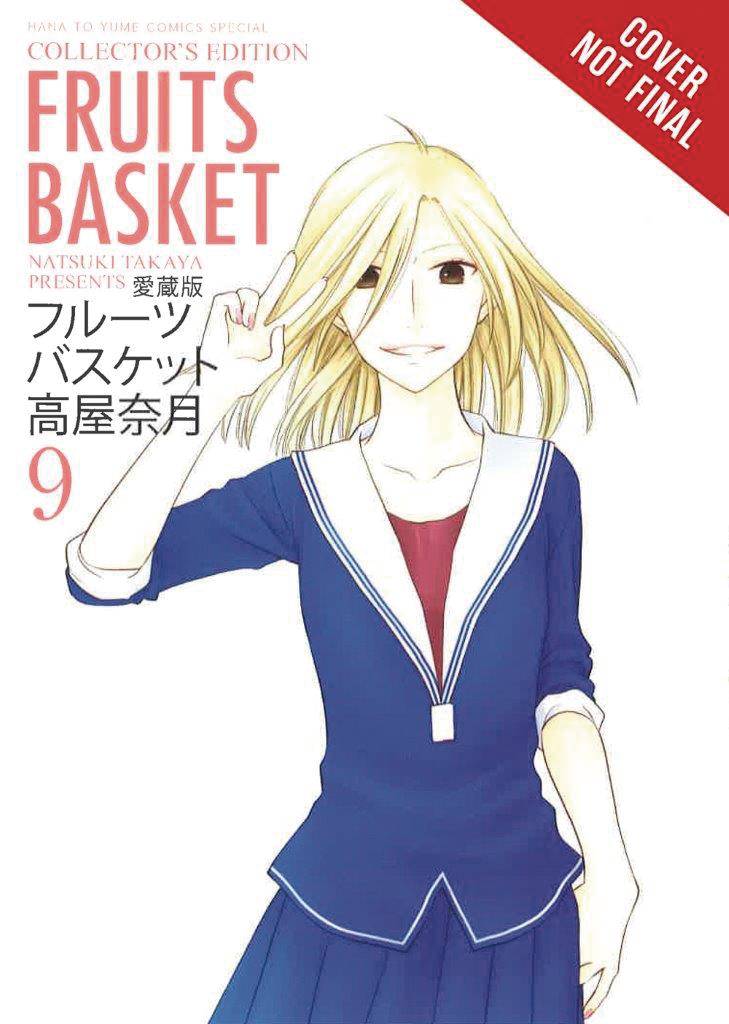 Fruits Basket GN Collectors Edition