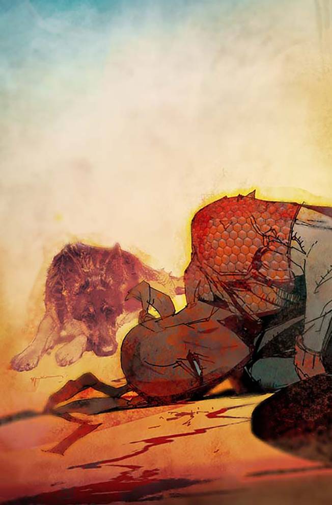 Deathstroke #14 CVR A