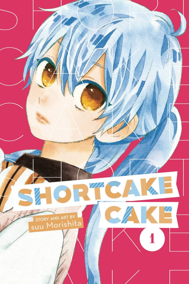 Shortcake Cake GN