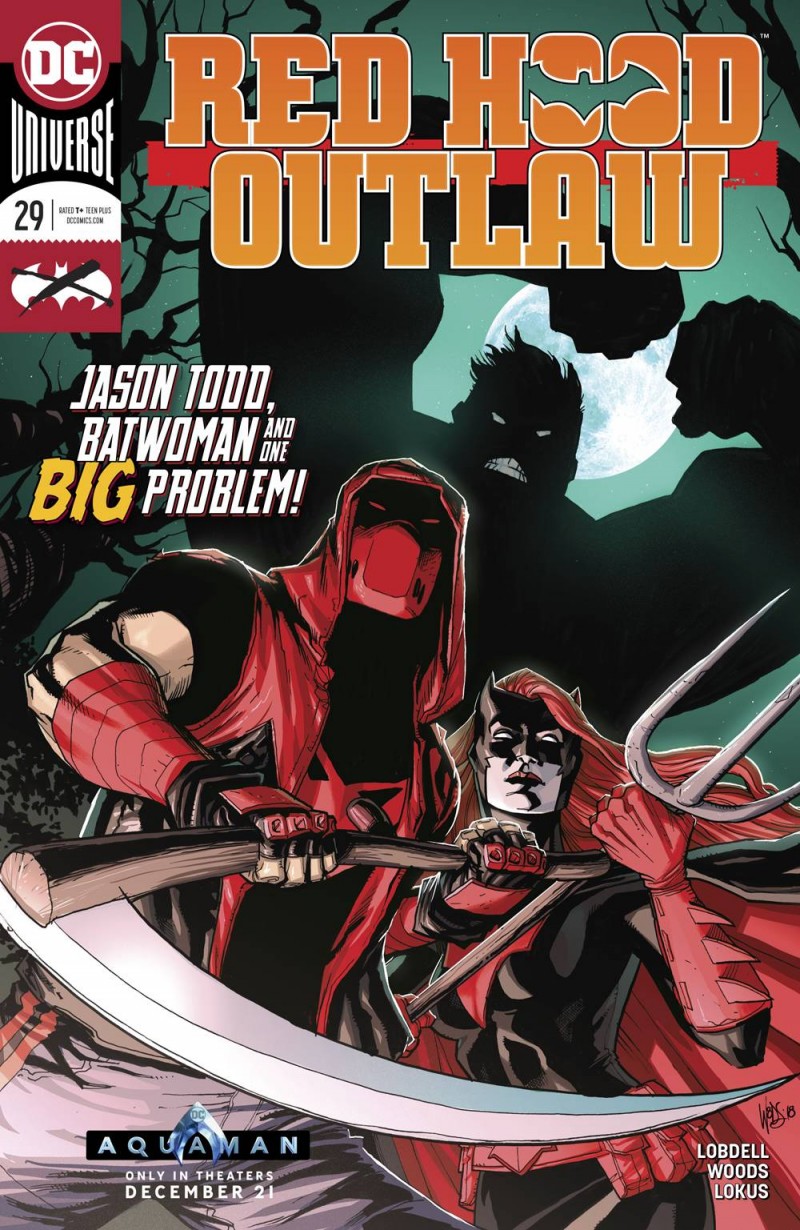 Red Hood Outlaw #29 CVR A