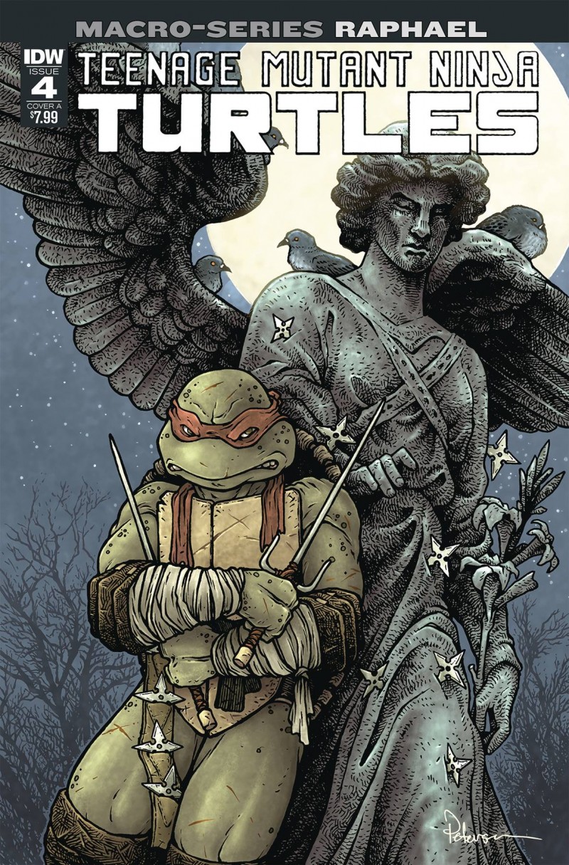 TMNT Macroseries #4 Raphael CVR A Petersen