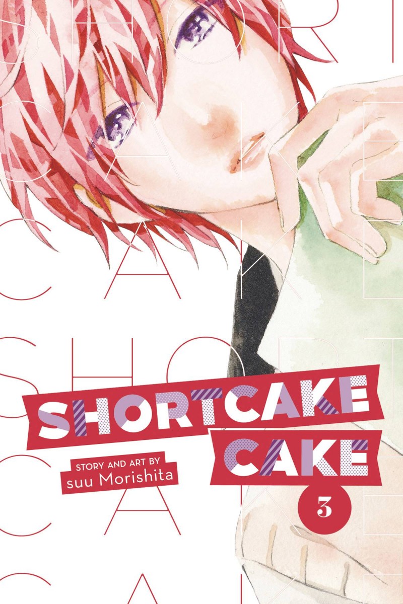 Shortcake Cake GN V3