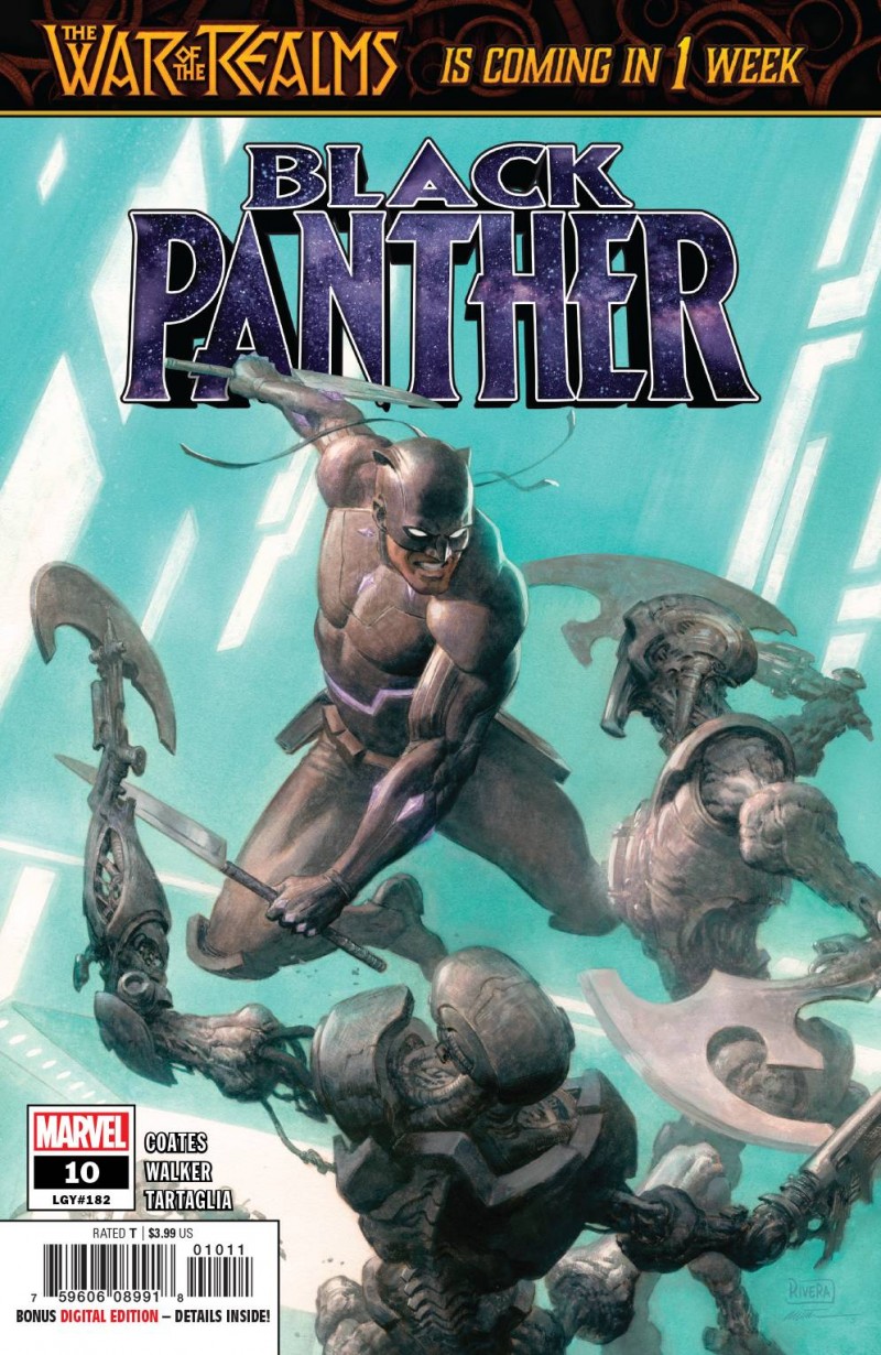 Black Panther #10
