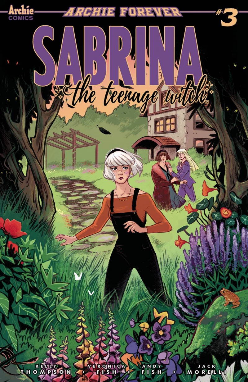 Sabrina Teenage Witch #3 CVR A Fish