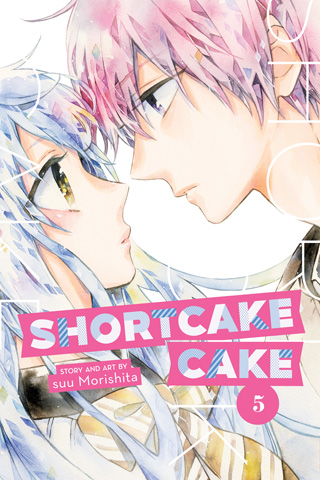 Shortcake Cake GN